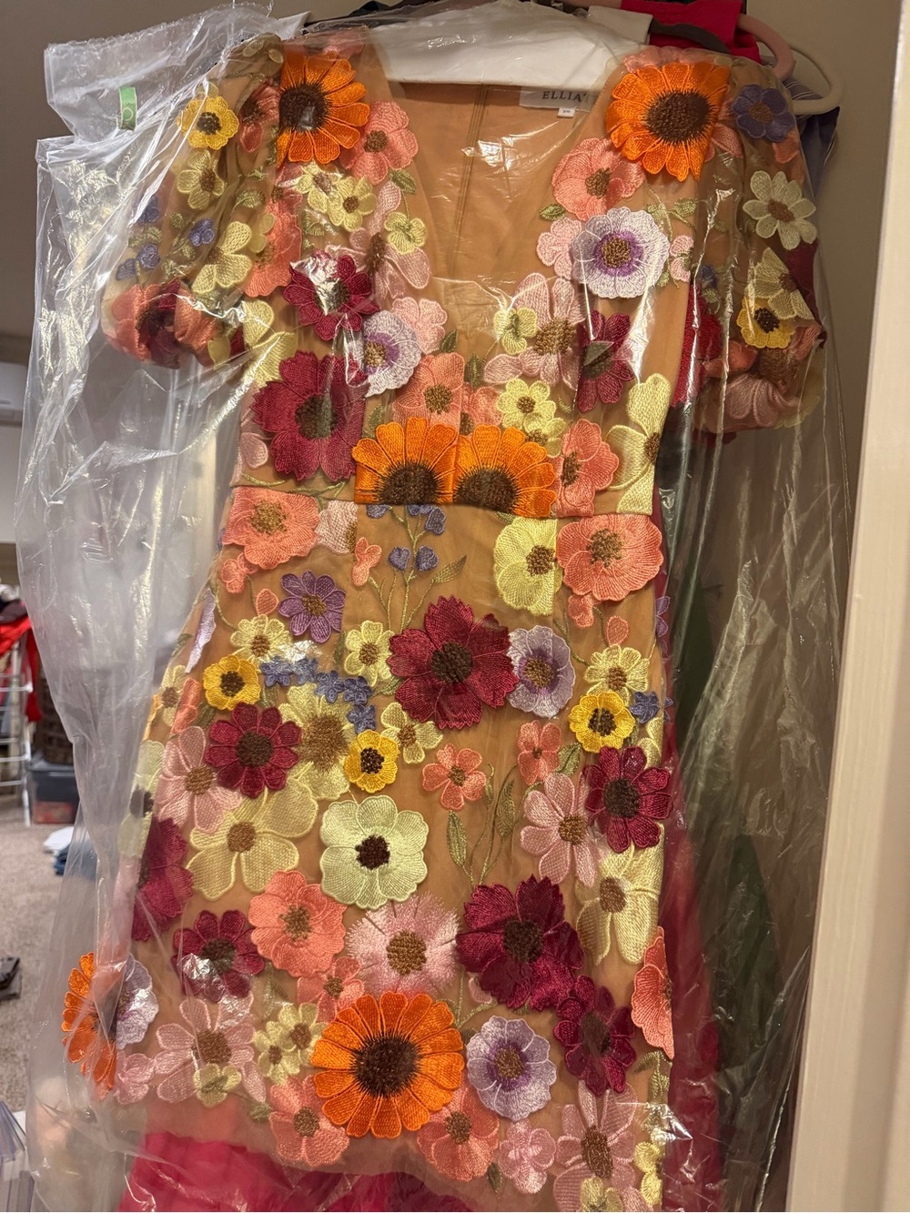 Floral Embroidered Mesh Dress with Puff Sleeves